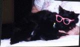 blackie.jpg (3202 bytes)